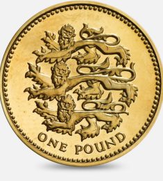 Pound Coin - image